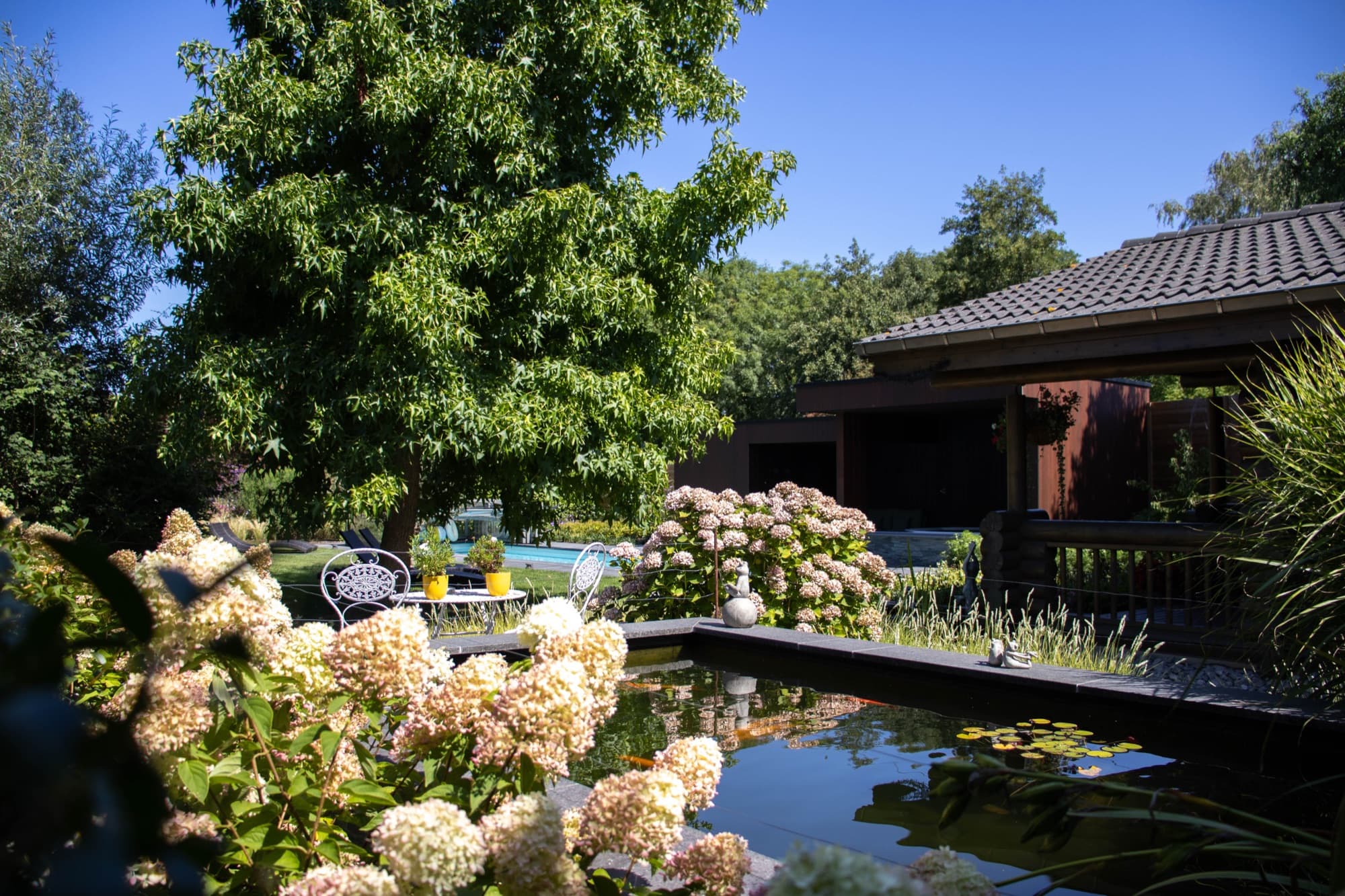 De landelijke tuin met vijver en verwarmd buitenzwembad