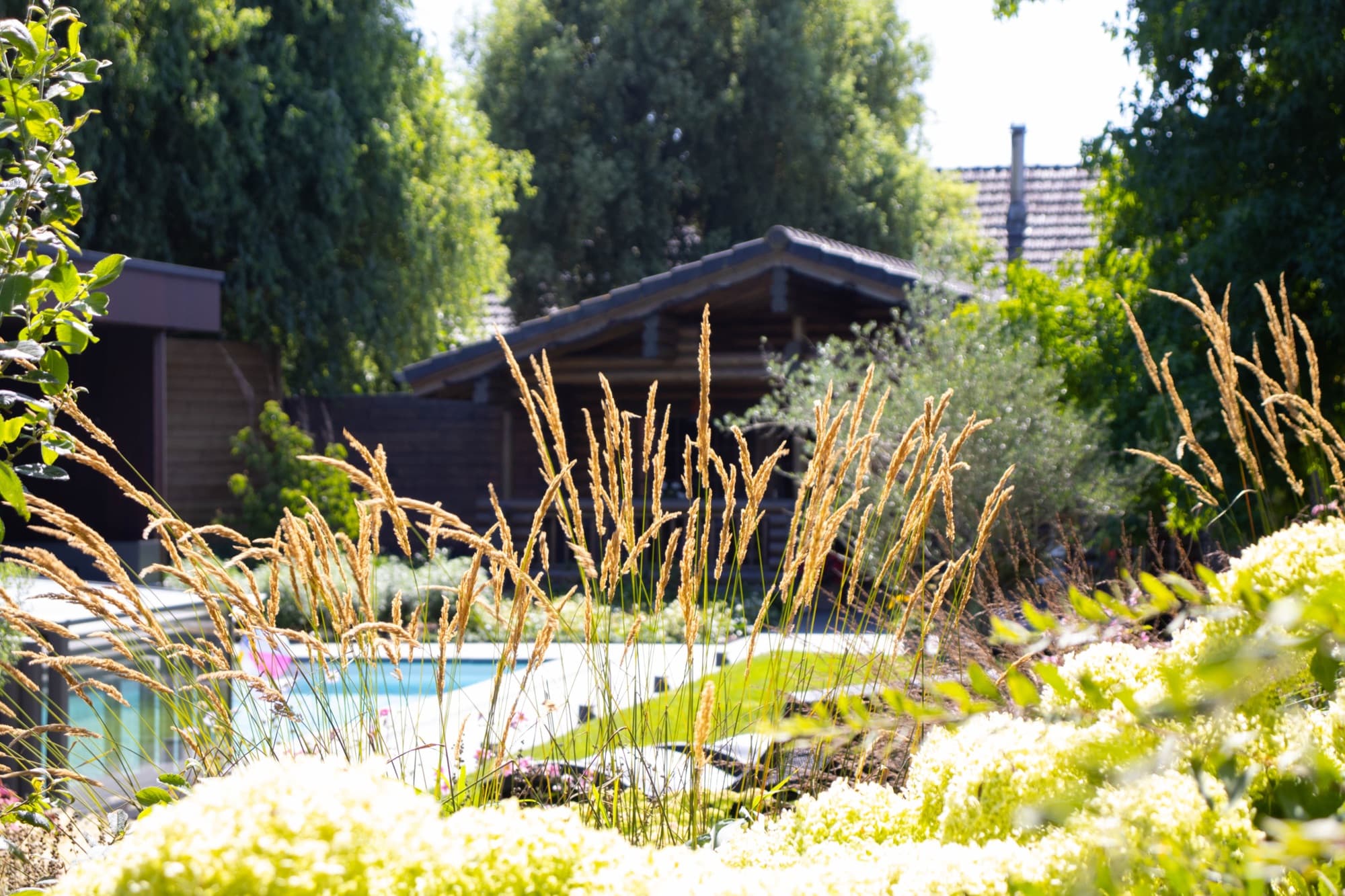 Weelderige beplanting in de tuin van Burmtiende